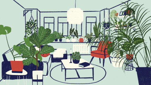 Urban Jungle – Die Zimmerpflanze nimmt Platz!