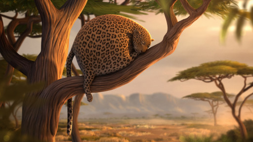 Rollin' Safari - Leopard