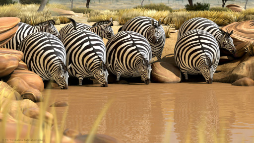 Rollin' Safari - Zebras