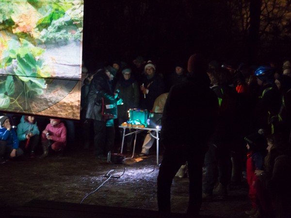 „Kurzfilmwanderung im Wald (online)“ (c) Steven Helmis - Fuchsfarm Erfurt
